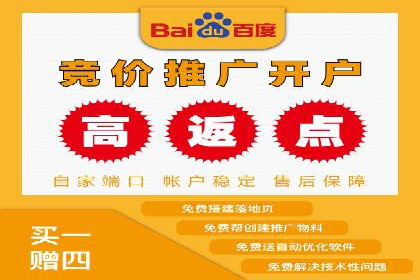 成功案例解读：SEM推广代运营策略